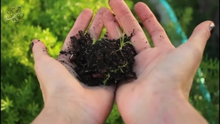 چی میشد اگر میتوانستیم بیابان ها را به زمین کشاورزی تبدیل کنیم؟