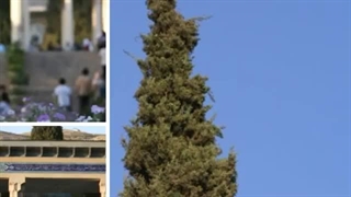 آهنگ مو میرُم شیراز، شیراز اصفهون