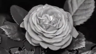 لیریک فارسی آهنگ Rainy days از تهیونگ ( BTS) ♡♡