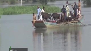 سیل و آبگرفتگی مناطق مختلف پاکستان