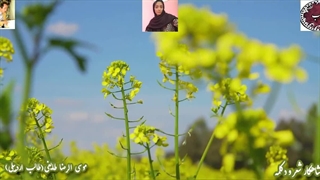 بر سمند خیال با صدای سخن عشق در غزل فوز عاشقی استاد غزل طالب با صدای دلکش مریم کفعمی