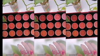 پالت رژ لب جامد آرت اسکین در 24 رنگ artskin