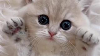 متوجه شدم که متوجه نشدم آاااا خب چیو متوجه نشدم (همینجوری یه چی نوشتم)