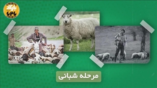 راهی که آلمان رفت