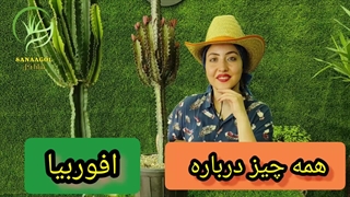 همه چیز درباره گیاه افوربیا (0 تا 100 افوربیا) | سانا گل