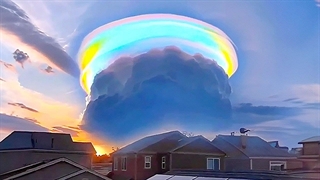 One in a Billion Moments in Nature