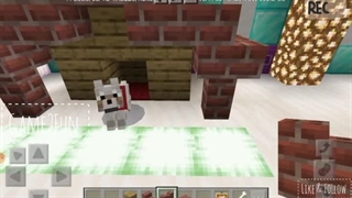 آموزش ساخت خانه برای پت(ماینکرفت)